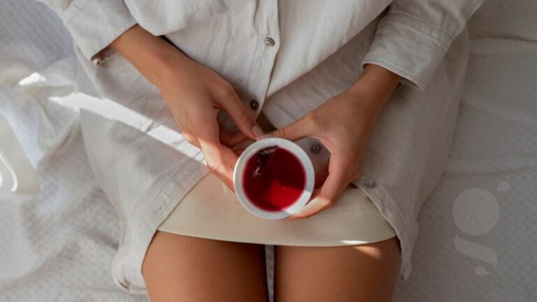 Climatério: a transição entre o menacme e a menopausa.